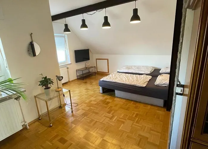 Zur Muehle אלטנברגה